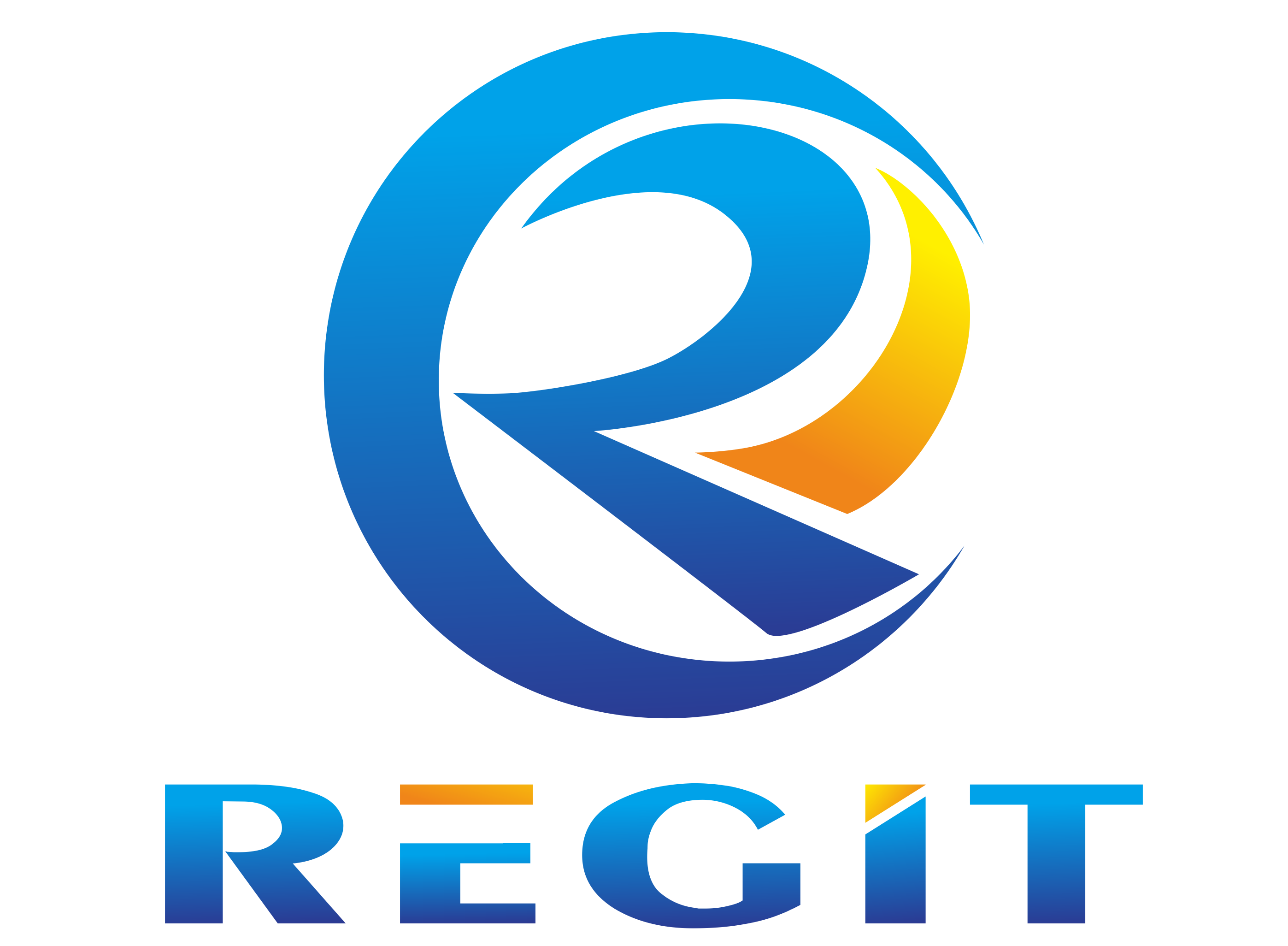 ruijite-gauge.com